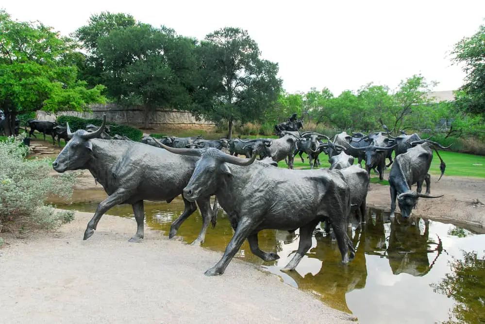 Pioneer Plaza cattle crossing