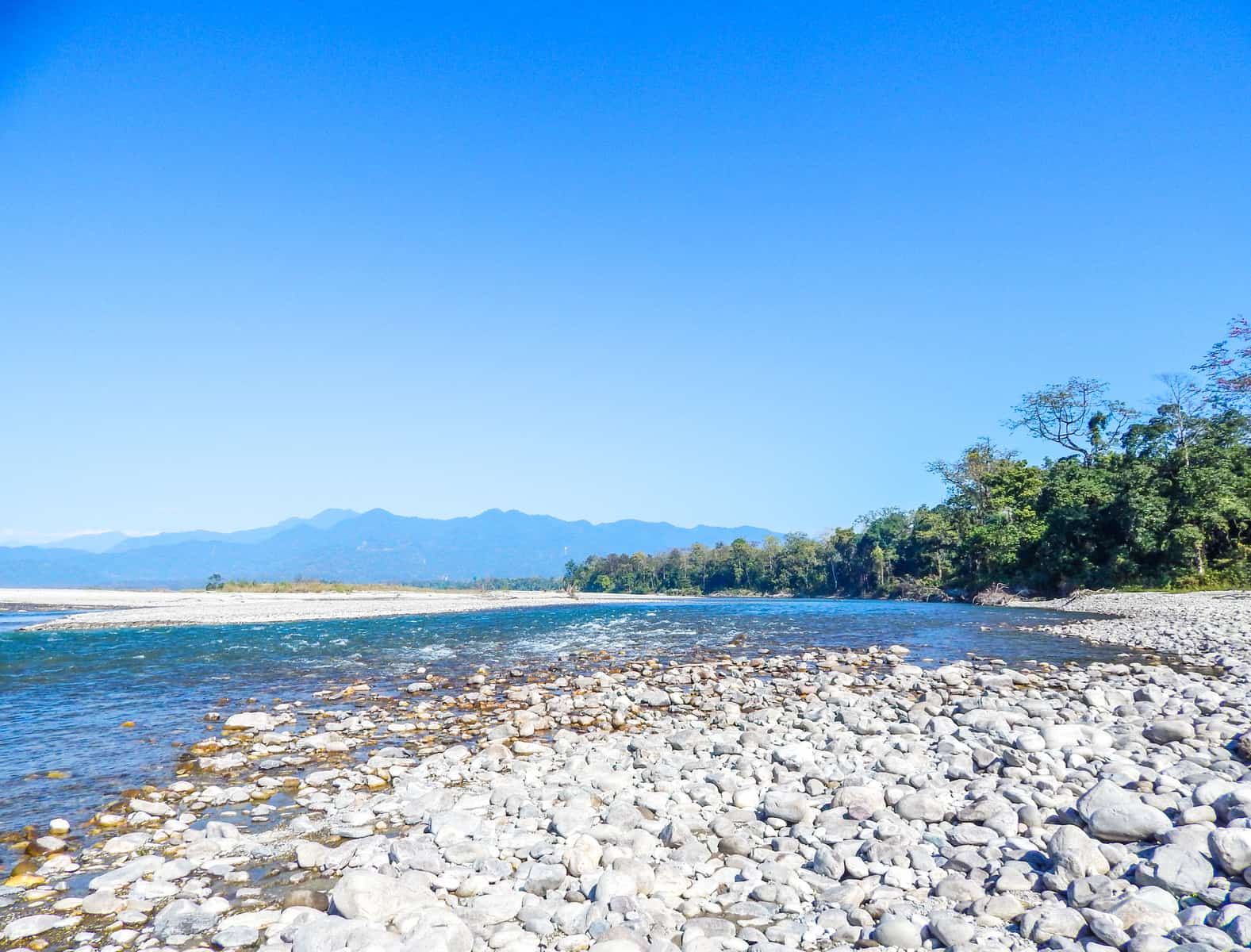 The edge of a lake from Manas National Park