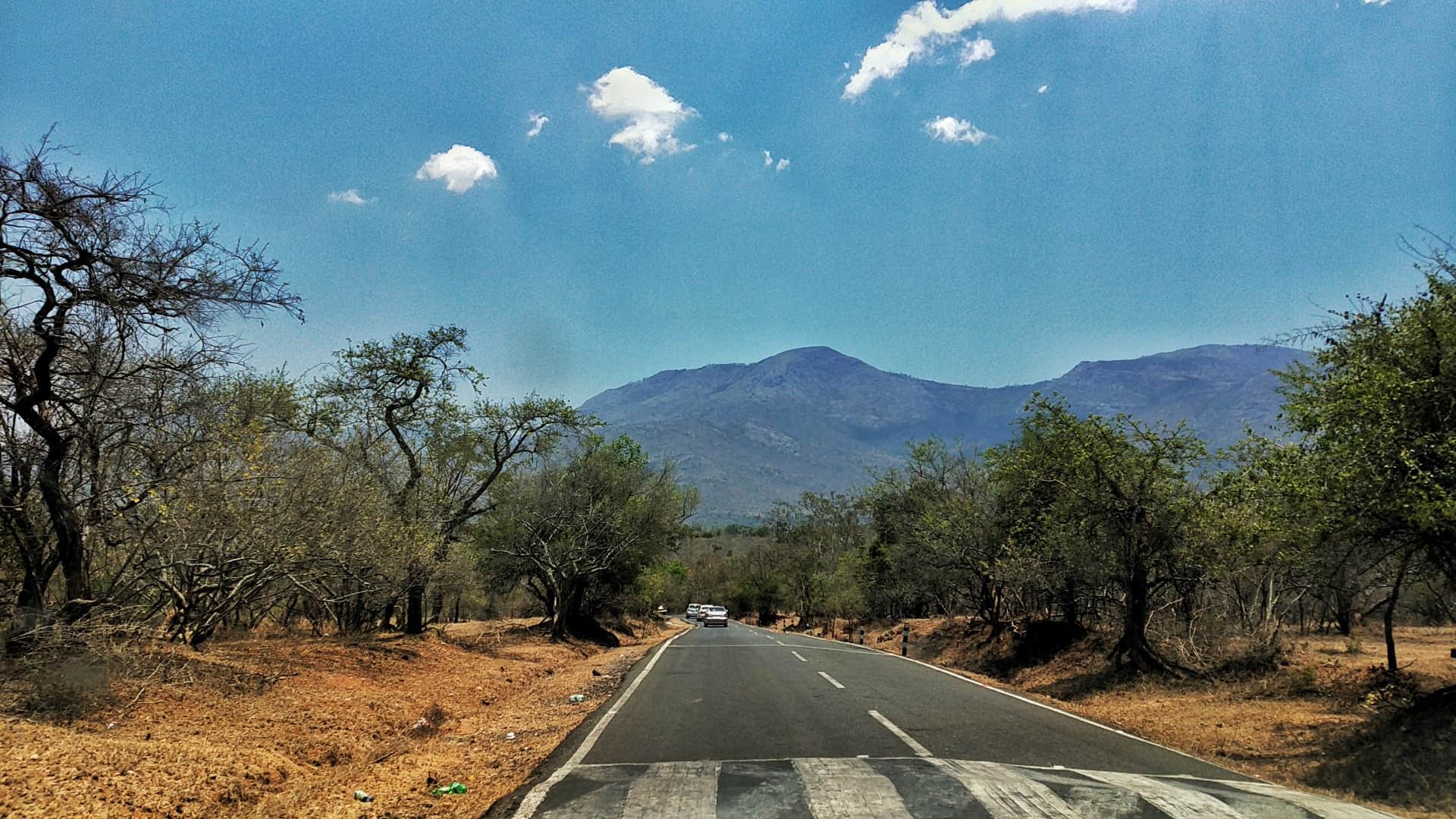 on the road to Bandipur Tiger Reserve