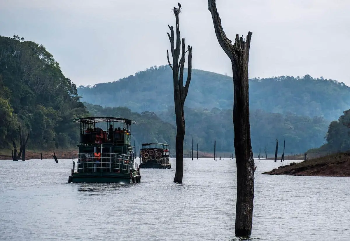 A boat cruise on Periyar Tiger Reserve