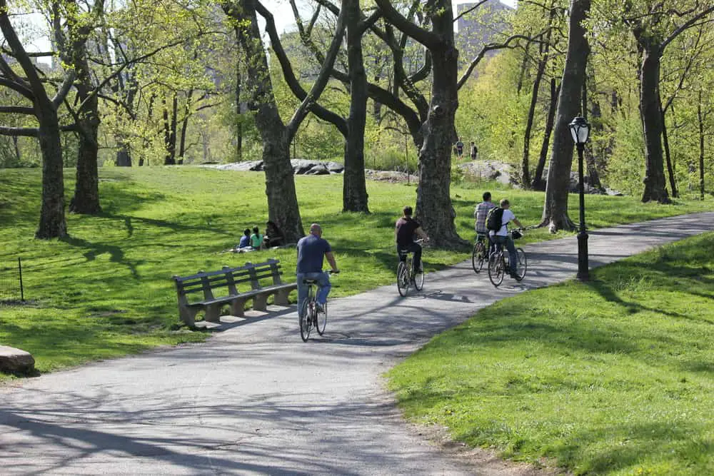 Cyclists in Central Park