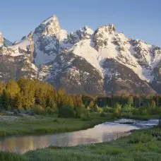 The Grand Teton Mountains with stream and trees