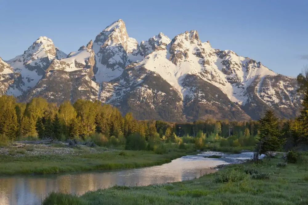 The Grand Teton Mountains with stream and trees