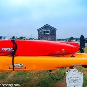 Kayaks at Wellfleet harbor