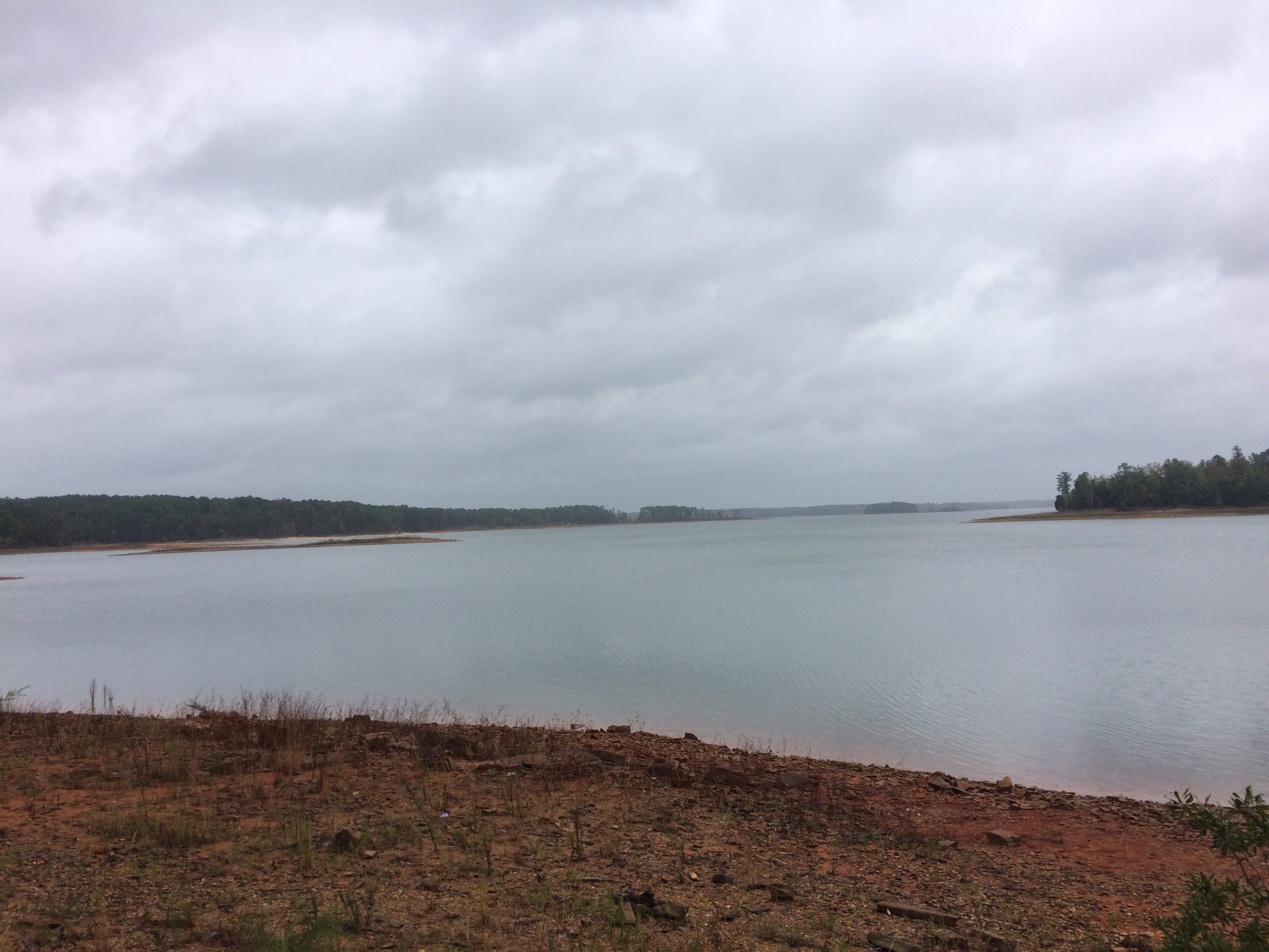 The Savannah Rivier at Augusta Georgia