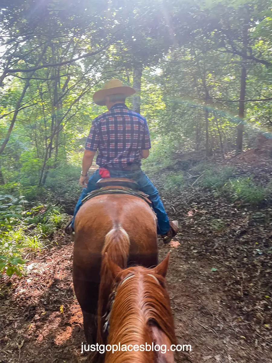 Alabama Horseback Adventures
