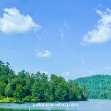 Lake Guntersville and forest