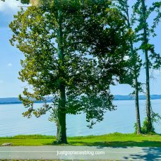 Sunset Drive Trail in Guntersville Alabama