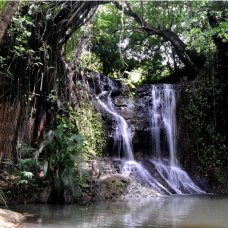 La Tille Waterfall in St Lucia
