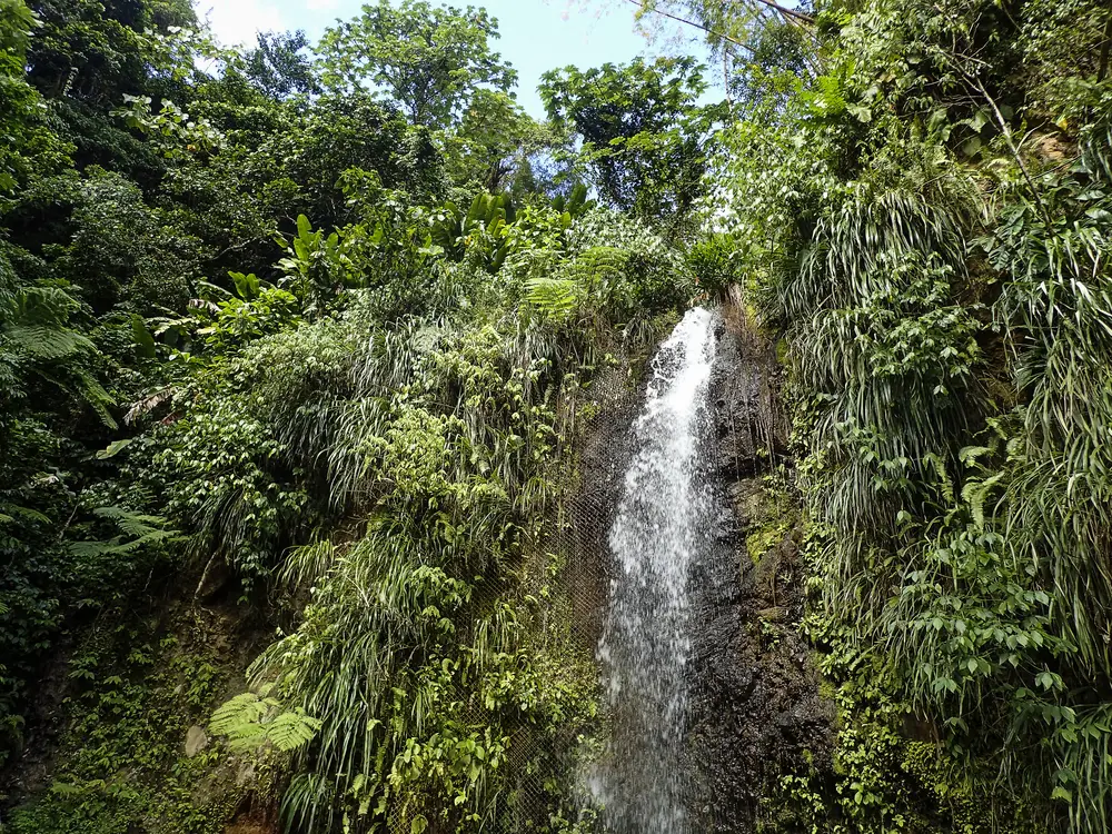 Toraille Waterfall in St Lucia